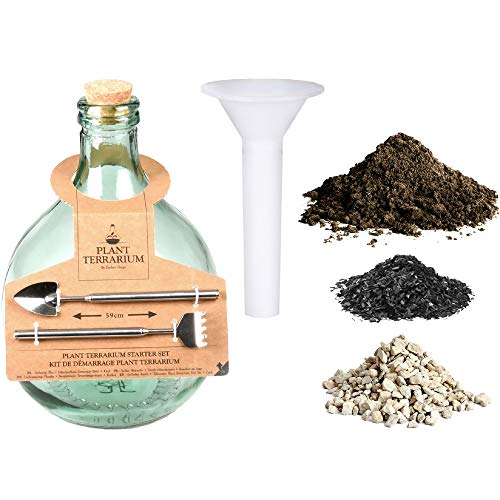 DIY Pflanzen Terrarium Starter Set 5 Liter Glas und Zubehör von degawo