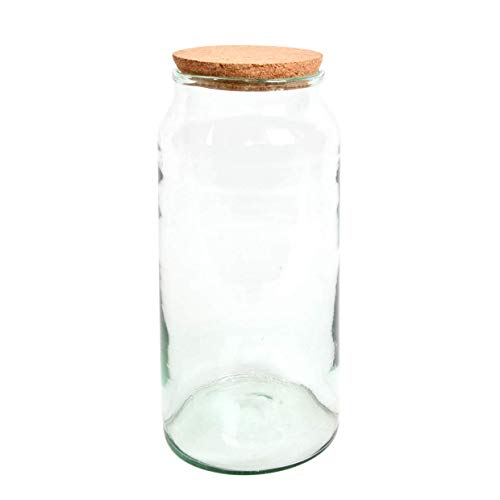 Pflanzen Terrarium aus Glas 10 L Deko Gewächshaus von degawo