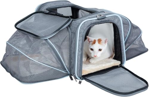 Hundebox faltbar Transportbox Hunde und Katze Tragetasche für Auto- und Flugreisen geeignet Tragetasche Maxi 72cm zweiseitig ausklappbar mit Langer Shultergurt Hundebox faltbar Transportbox Hunde und Katze Tragetasche für Auto- und Flugreisen geeignet Tragetasche Maxi 72cm zweiseitig ausklappbar mit Langer Shultergurt von Dekohome