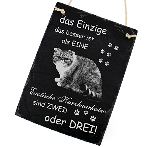 Schiefertafel Katze Deko Schild - Exotic Shorthair - Das Einzige was Besser ist als eine Exotic Shorthair sind Zwei oder DREI 16 x 22 cm Katzen Dekoration Zubehör Katzendeko von dekolando