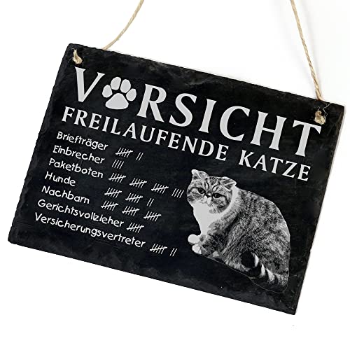 Schiefertafel Katze Deko Schild - Exotic Shorthair - Vorsicht freilaufende Katze 22 x 16 cm Katzen Dekoration Zubehör Katzendeko von dekolando