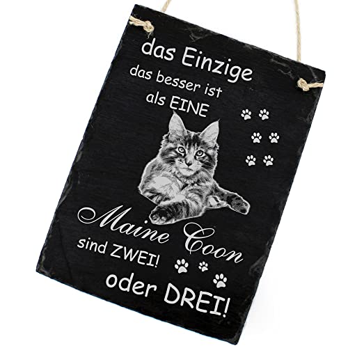 Schiefertafel Katze Deko Schild - Maine Coon - Das Einzige was Besser ist als eine Maine Coon sind Zwei oder DREI 16 x 22 cm Katzen Dekoration Zubehör Katzendeko von DEKOLANDO