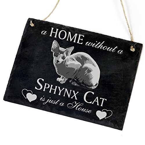 Schiefertafel Katze Deko Schild - Sphynx - A Home Without A Sphynx Cat is just A House 22 x 16 cm Katzen Dekoration Zubehör Katzendeko von dekolando