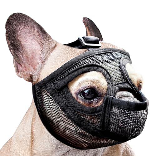 Französische Bulldogge Maulkorb, dellyy Mesh Dog Muzzle für Französische Bulldogge, Deutscher Schäferhund und Dogue de Bordeaux (Schwarz, S) von dellyy