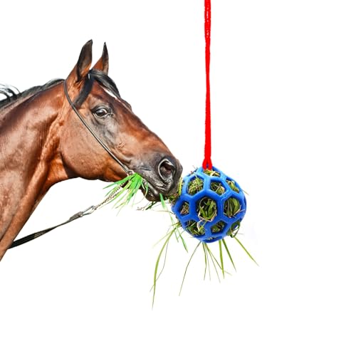 dellyy Futterspielball für Pferde, Futterspielball für Pferde, Futterball für Pferde, Heuball Pferdespielzeug, Heuballen Pferd, Pferd Ball, Für Pferde, Ziegen, Schafe, Schildkröten, zum Stressabbau dellyy Futterspielball für Pferde, Futterspielball für Pferde, Futterball für Pferde, Heuball Pferdespielzeug, Heuballen Pferd, Pferd Ball, Für Pferde, Ziegen, Schafe, Schildkröten, zum Stressabbau von dellyy