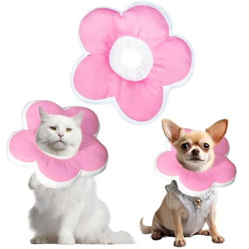 dellyy Schützende Halskrause Katze (Rosa, XS) von dellyy