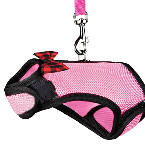 Bunny-Leine und Geschirr-Set - Mehrzweck-Kaninchen-Hamster-Westengeschirr mit elastischer Leine,Weiche und tragbare Netzweste für Kätzchen, Welpen, Häschen, kleine Haustiere Delr Bunny-Leine und Geschirr-Set - Mehrzweck-Kaninchen-Hamster-Westengeschirr mit elastischer Leine,Weiche und tragbare Netzweste für Kätzchen, Welpen, Häschen, kleine Haustiere Delr von delr