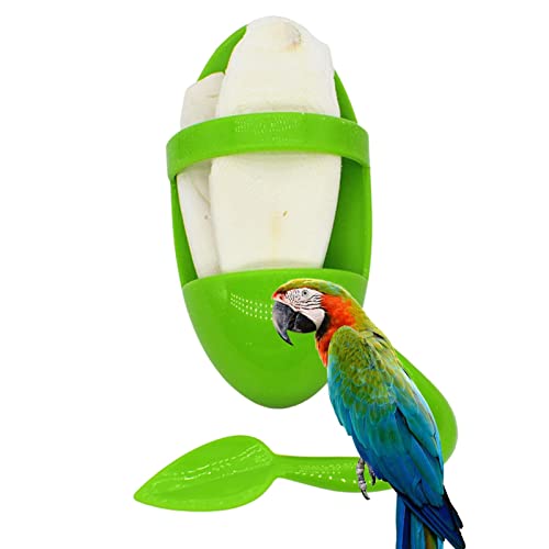 Cuttlebone für Sittich - Tintenfisch Knochenhalter Vogelkäfig Futterbecher,Vogelfutter Lagerung Tintenfisch Stofftier Knochenhalter Käfig Schüssel Stand Barsch Lieferungen Delr von delr