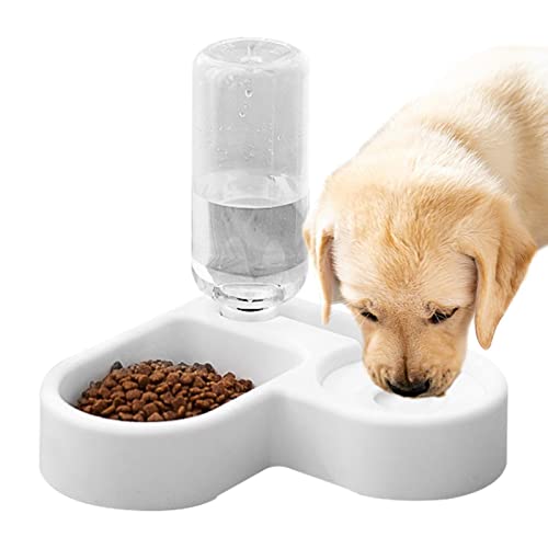 Futternapf für Katzen | Automatischer Pet Feeder Wasserspender,Leicht zu reinigende Futternapf für Haustiere, allgemeine Werkzeuge zum Füttern von Haustieren für Katzen, Kätzchen, Delr Futternapf für Katzen | Automatischer Pet Feeder Wasserspender,Leicht zu reinigende Futternapf für Haustiere, allgemeine Werkzeuge zum Füttern von Haustieren für Katzen, Kätzchen, Delr von delr