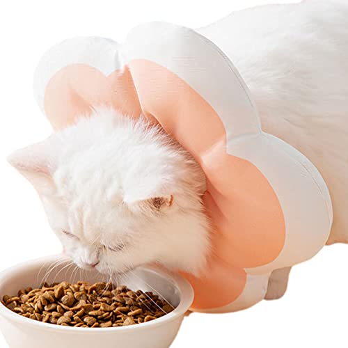 Katze Nackenschützer,Weiches leichtes Baumwoll-Donuthalsband für Hunde | Hundekegelhalsband für Halloween Weihnachtsfeiern Bequem Verhindern von Lecken für Haustiere Katzen Hunde Welpen Delr Katze Nackenschützer,Weiches leichtes Baumwoll-Donuthalsband für Hunde | Hundekegelhalsband für Halloween Weihnachtsfeiern Bequem Verhindern von Lecken für Haustiere Katzen Hunde Welpen Delr von delr
