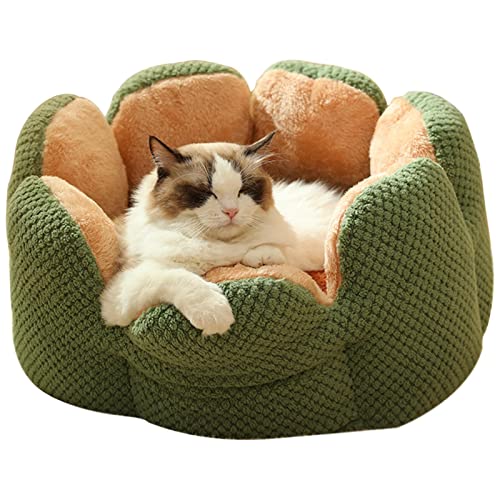 Katzenkorb für Indoor-Katzen - Runde Blütenblatt Super Soft Plüsch Coral Fleece Welpen Betten | Weiche Katzenbett Waschbar Blütenblatt Katzennest Bequem Schlafen Hundehütte Tierbedarf Zubehör Delr Katzenkorb für Indoor-Katzen - Runde Blütenblatt Super Soft Plüsch Coral Fleece Welpen Betten | Weiche Katzenbett Waschbar Blütenblatt Katzennest Bequem Schlafen Hundehütte Tierbedarf Zubehör Delr von delr