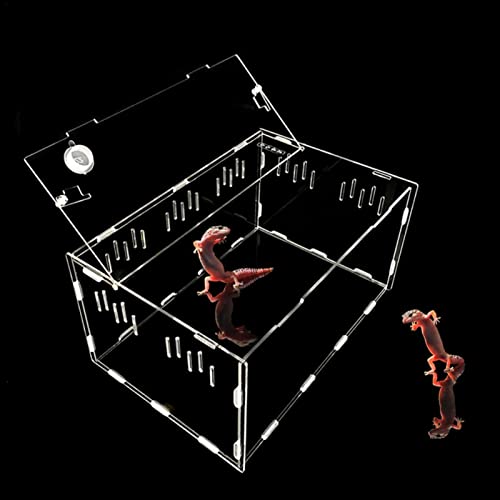 Reptilienenterrarium - Acryl Reptilien Terrarium Käfig - Klarer Nährstoff-Lebensraum für Tarantel Scorpion Sling Isopoden Eidechsen Roach Wirbellose Insekt Mantis Delr von delr