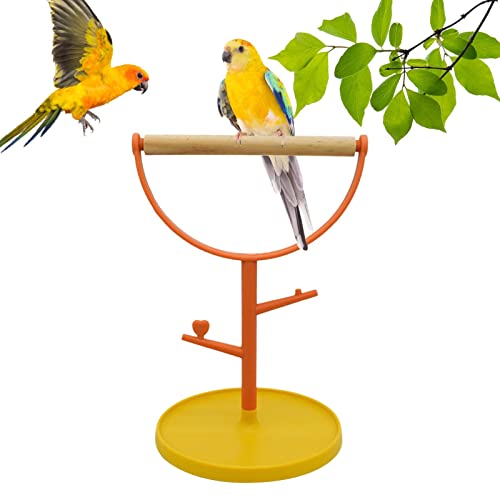 Vogeltrainingsständer | Sitzstangenhalter Sittiche Vogelkäfig | Käfig Barsch Vogelhalter Holztisch Tragbare Bissfest Für Sittiche, Nymphensittiche, Lovebird, Papagei Delr Vogeltrainingsständer | Sitzstangenhalter Sittiche Vogelkäfig | Käfig Barsch Vogelhalter Holztisch Tragbare Bissfest Für Sittiche, Nymphensittiche, Lovebird, Papagei Delr von delr