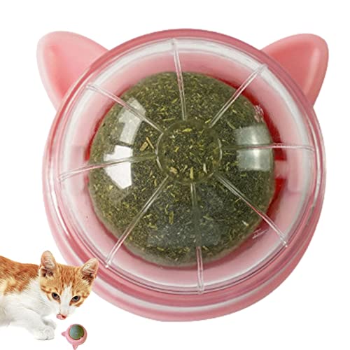 delr 2 Katzenbälle für Katzen Wand | Katzenspielzeug interaktives Beißspielzeug mit Katzenball – rotierendes Katzenspielzeug für Katzen, Kätzchen, Zahnärzte, 2 Stück delr 2 Katzenbälle für Katzen Wand | Katzenspielzeug interaktives Beißspielzeug mit Katzenball – rotierendes Katzenspielzeug für Katzen, Kätzchen, Zahnärzte, 2 Stück von delr