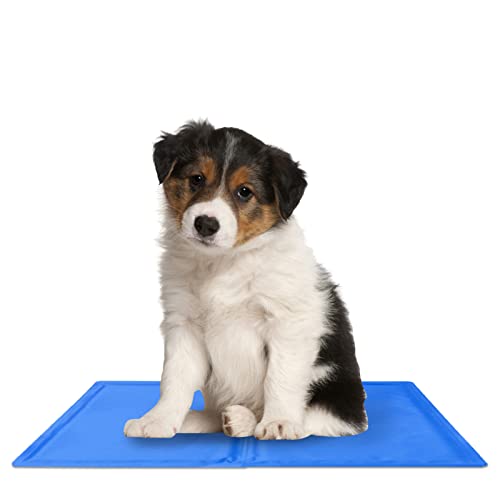 delr für Hunde, Kühlung für Haustiere, ohne Strom – Doppellagiges -Pad, blau, maschinenwaschbar, wiederverwendbar delr für Hunde, Kühlung für Haustiere, ohne Strom – Doppellagiges -Pad, blau, maschinenwaschbar, wiederverwendbar von delr