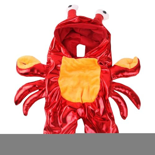 demaxiyad Hundekostüm,Halloween Hund Cosplay Kostüm | Haustierbekleidung Für Hunde Partys Süßes Oder Saures Spaziergang Outdoor Fotos Feiern demaxiyad Hundekostüm,Halloween Hund Cosplay Kostüm | Haustierbekleidung Für Hunde Partys Süßes Oder Saures Spaziergang Outdoor Fotos Feiern von demaxiyad