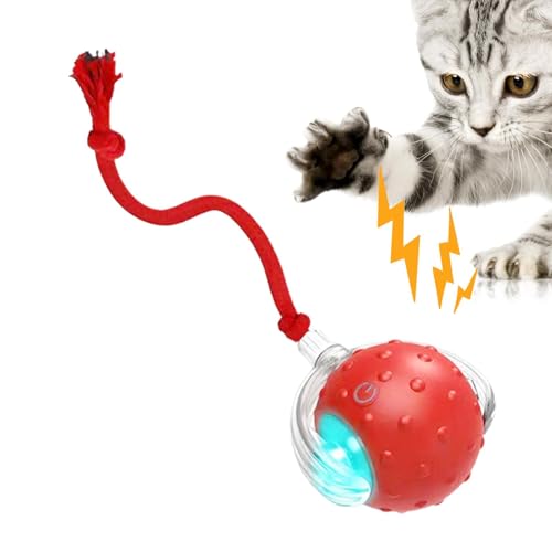 demaxiyad Intelligenter interaktiver Katzenspielzeug-Ball – USB wiederaufladbarer intelligenter Katzenspielzeugball mit 3 Modi | Zwitschernde Bewegungsaktivierung Katzenspielzeug, interaktives demaxiyad Intelligenter interaktiver Katzenspielzeug-Ball – USB wiederaufladbarer intelligenter Katzenspielzeugball mit 3 Modi | Zwitschernde Bewegungsaktivierung Katzenspielzeug, interaktives von demaxiyad