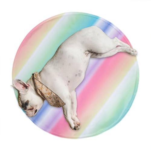 demaxiyad Kühldecke für Hunde, selbstkühlende Matte für Haustiere | Ice Dog selbstkühlende Decke | Polymer-Gel-Isomatte mit hoher Rückfederung für kleine bis mittelgroße Hunde und Katzen demaxiyad Kühldecke für Hunde, selbstkühlende Matte für Haustiere | Ice Dog selbstkühlende Decke | Polymer-Gel-Isomatte mit hoher Rückfederung für kleine bis mittelgroße Hunde und Katzen von demaxiyad