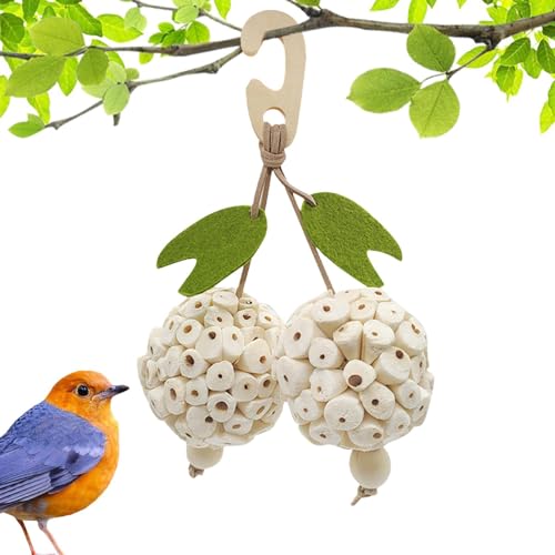 demaxiyad Vogelspielzeug, Kauspielzeug für Vögel, Vogelkugeln zum für Papageien, Unterhaltungskäfig, zum Aufhängen, Spielzeugbälle, Zubehör zum für Wellensittiche und von demaxiyad