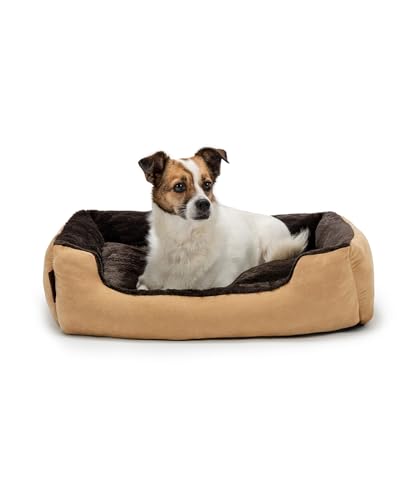 lionto Hundebett mit Wendekissen und Rutschfester Unterseite, Robustes Heimtierkissen mit tiefem Einstieg für Hunde und Katzen jeden Alters, 60x48 cm, kuscheliges Hundekissen, beige/braun lionto Hundebett mit Wendekissen und Rutschfester Unterseite, Robustes Heimtierkissen mit tiefem Einstieg für Hunde und Katzen jeden Alters, 60x48 cm, kuscheliges Hundekissen, beige/braun von lionto