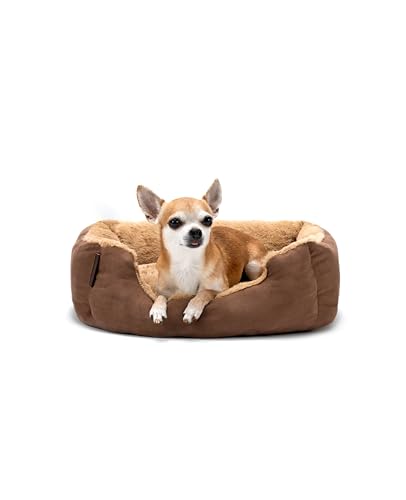 lionto Hundebett mit Wendekissen und Rutschfester Unterseite, Robustes Heimtierkissen mit tiefem Einstieg für Hunde und Katzen jeden Alters, 50x37 cm, kuscheliges Hundekissen, braun/beige lionto Hundebett mit Wendekissen und Rutschfester Unterseite, Robustes Heimtierkissen mit tiefem Einstieg für Hunde und Katzen jeden Alters, 50x37 cm, kuscheliges Hundekissen, braun/beige von lionto