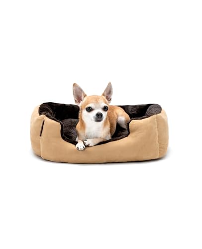 lionto Hundebett mit Wendekissen und Rutschfester Unterseite, Robustes Heimtierkissen mit tiefem Einstieg für Hunde und Katzen jeden Alters, 50x37 cm, kuscheliges Hundekissen, beige/braun lionto Hundebett mit Wendekissen und Rutschfester Unterseite, Robustes Heimtierkissen mit tiefem Einstieg für Hunde und Katzen jeden Alters, 50x37 cm, kuscheliges Hundekissen, beige/braun von lionto