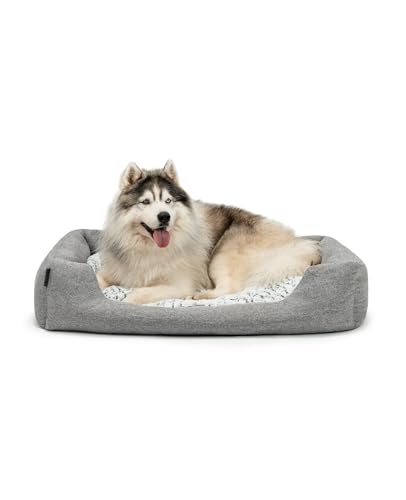 lionto Hundekörbchen mit flauschigem Wendekissen, kuscheliges Heimtierbett in meliertem Design mit tiefem Einstieg für Hunde & Katzen Aller Größen, 110x80 cm, weiches Hundebett, grau lionto Hundekörbchen mit flauschigem Wendekissen, kuscheliges Heimtierbett in meliertem Design mit tiefem Einstieg für Hunde & Katzen Aller Größen, 110x80 cm, weiches Hundebett, grau von lionto
