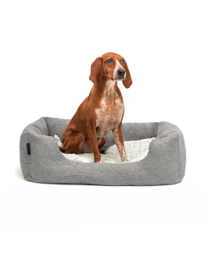 lionto Hundekörbchen mit flauschigem Wendekissen, kuscheliges Heimtierbett in meliertem Design mit tiefem Einstieg für Hunde & Katzen Aller Größen, 80x60 cm, weiches Hundebett, grau lionto Hundekörbchen mit flauschigem Wendekissen, kuscheliges Heimtierbett in meliertem Design mit tiefem Einstieg für Hunde & Katzen Aller Größen, 80x60 cm, weiches Hundebett, grau von lionto