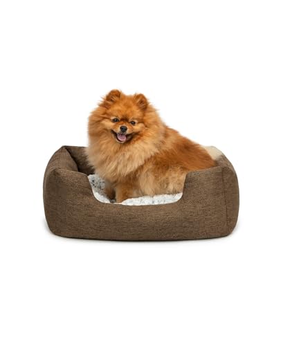 lionto Hundekörbchen mit flauschigem Wendekissen, kuscheliges Heimtierbett in meliertem Design mit tiefem Einstieg für Hunde & Katzen Aller Größen, 60x50 cm, weiches Hundebett, braun lionto Hundekörbchen mit flauschigem Wendekissen, kuscheliges Heimtierbett in meliertem Design mit tiefem Einstieg für Hunde & Katzen Aller Größen, 60x50 cm, weiches Hundebett, braun von lionto