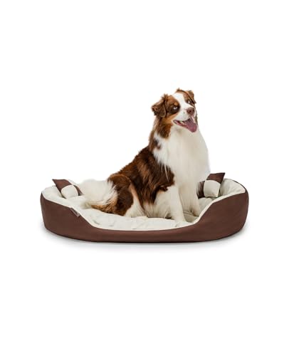 lionto Hundebett 4-in-1 mit Wendekissen aus robustem Oxford, 110x80 cm, Heimtierkissen Kratzfest mit tiefem Einstieg für Katzen und Hunde Aller Größen, inkl. Zierkissen, wasserabweisend, braun/beige von lionto