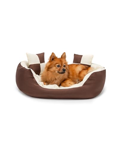 lionto Hundebett 4-in-1 mit Wendekissen aus robustem Oxford, 65x50 cm, Heimtierkissen Kratzfest mit tiefem Einstieg für Katzen und Hunde Aller Größen, inkl. Zierkissen, wasserabweisend, braun/beige lionto Hundebett 4-in-1 mit Wendekissen aus robustem Oxford, 65x50 cm, Heimtierkissen Kratzfest mit tiefem Einstieg für Katzen und Hunde Aller Größen, inkl. Zierkissen, wasserabweisend, braun/beige von lionto