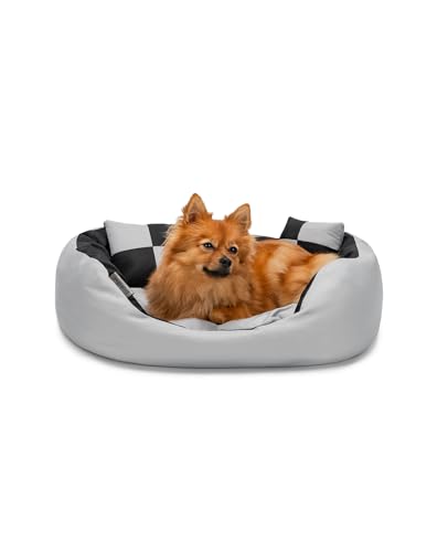 lionto Hundebett 4-in-1 mit Wendekissen aus robustem Oxford, 65x50 cm, Heimtierkissen Kratzfest mit tiefem Einstieg für Katzen und Hunde Aller Größen, inkl. Zierkissen, wasserabweisend, grau/schwarz lionto Hundebett 4-in-1 mit Wendekissen aus robustem Oxford, 65x50 cm, Heimtierkissen Kratzfest mit tiefem Einstieg für Katzen und Hunde Aller Größen, inkl. Zierkissen, wasserabweisend, grau/schwarz von lionto