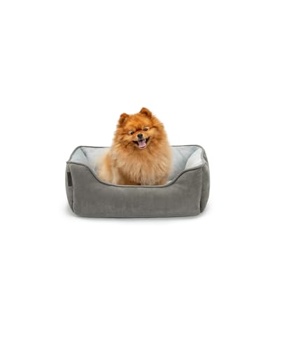 lionto Hundebett 2-in-1 mit komfortablem Einstieg, kuscheliges Heimtierbett zum Wenden für Hunde und Katzen, 60x50 cm, Hundekissen in pflegeleichter Wildlederoptik, grau von lionto