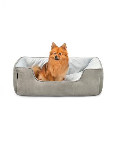 lionto Hundebett 2-in-1 mit komfortablem Einstieg, kuscheliges Heimtierbett zum Wenden für Hunde und Katzen, 80x60 cm, Hundekissen in pflegeleichter Wildlederoptik, grau von lionto