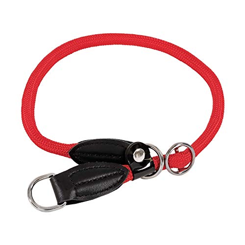 Dibea lionto Hundehalsband Retrieverhalsband Dressurhalsband Länge, 30 cm, Rot von lionto