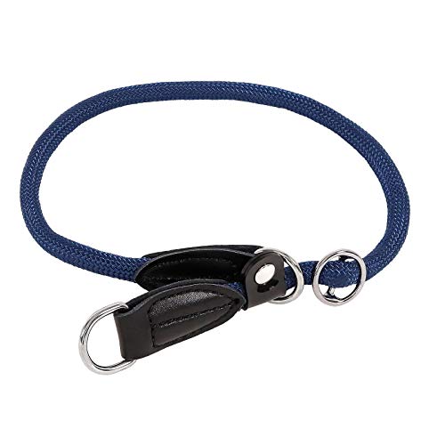 lionto Hundehalsband Retrieverhalsband Dressurhalsband Länge, 35 cm, Blau von lionto