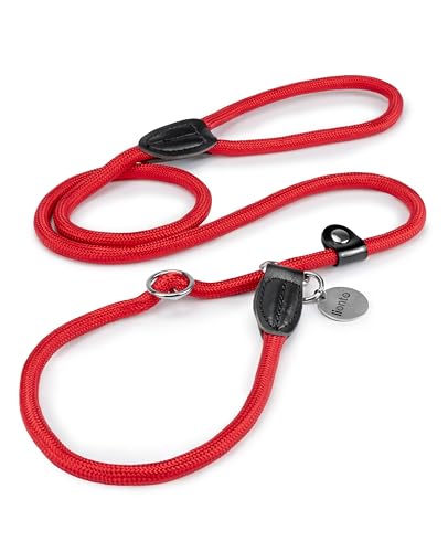 lionto Retrieverleine robust und wetterfest für Hunde Aller Größen, schnell anzulegende Hundeleine und Halsband in Einem, 120 cm, fellschonende Führleine mit integriertem Zugstopp, vegan, rot von lionto