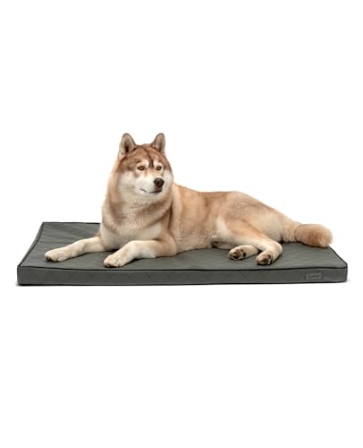 lionto Hundematte orthopädisch mit Memory-Schaumstoff, gelenkschonendes Hundekissen aus pflegeleichtem Lederimitat, 118x80 cm, Gesteppte Liegematte mit abnehmbaren Bezug und Anti-Rutsch-Belag, grau von lionto