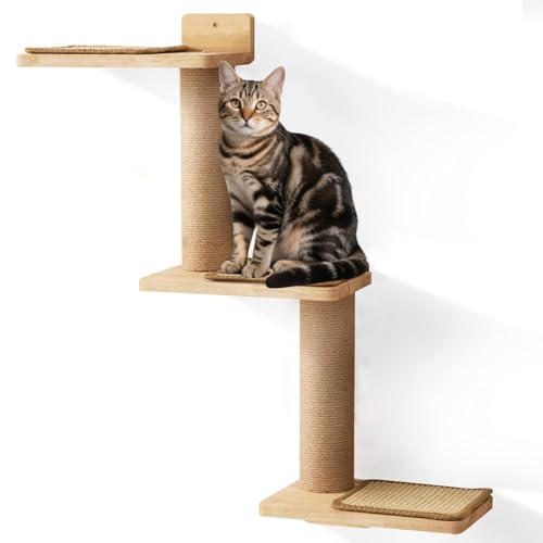 diceevil Kletterwand Katzen, 3 Teilig, Kratzbaum für Katzen, Wandmontage Transformable Katzen Kratzbaum für Katze Klettern, Spielen, Kratzen, Kratzbrett bis 10 kg diceevil Kletterwand Katzen, 3 Teilig, Kratzbaum für Katzen, Wandmontage Transformable Katzen Kratzbaum für Katze Klettern, Spielen, Kratzen, Kratzbrett bis 10 kg von diceevil