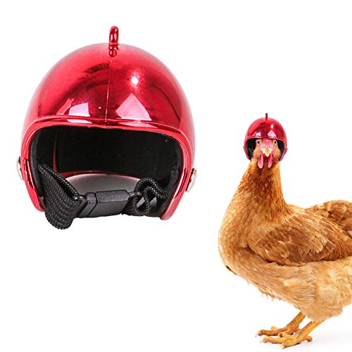 didatecar Huhn Helm Entzückender Helm PP Premium Huhn Aussehen Cooles Zubehör Kleine Haustier Kostüme Für Kü Haustier Papagei Vögel von Luckxing