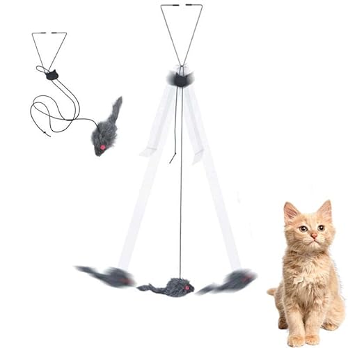 dinghaole Katzenspielzeug, Jagdübung, Unterhaltungsspielzeug, Hängetür, Katzenspielzeug, Mausspielzeug für den Innenbereich, 2 Packungen dinghaole Katzenspielzeug, Jagdübung, Unterhaltungsspielzeug, Hängetür, Katzenspielzeug, Mausspielzeug für den Innenbereich, 2 Packungen von dinghaole
