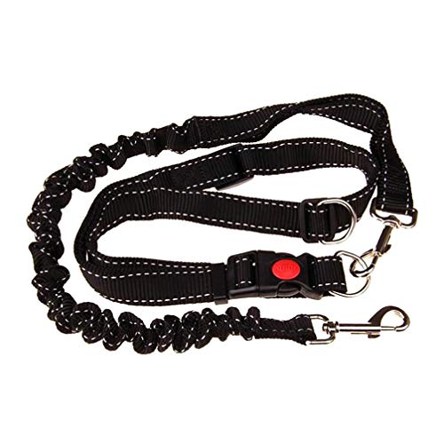 Diyfixlcd 1 x Hundeleine, Nylon, für Hundetraining, Feuerzeug, Katzen-Leine, Traktionsseil für Joggen, Wandern, Spazierengehen, Laufen Diyfixlcd 1 x Hundeleine, Nylon, für Hundetraining, Feuerzeug, Katzen-Leine, Traktionsseil für Joggen, Wandern, Spazierengehen, Laufen von diyfixlcd