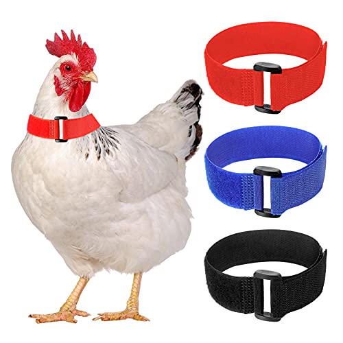diyfixlcd 6 Stück Anti-Krähen-Halsband, Anti-Lärm, Nylon-Halsband, Huhn-Nackenband, um zu verhindern, dass Hühner schreien, störende Nachbarn von diyfixlcd