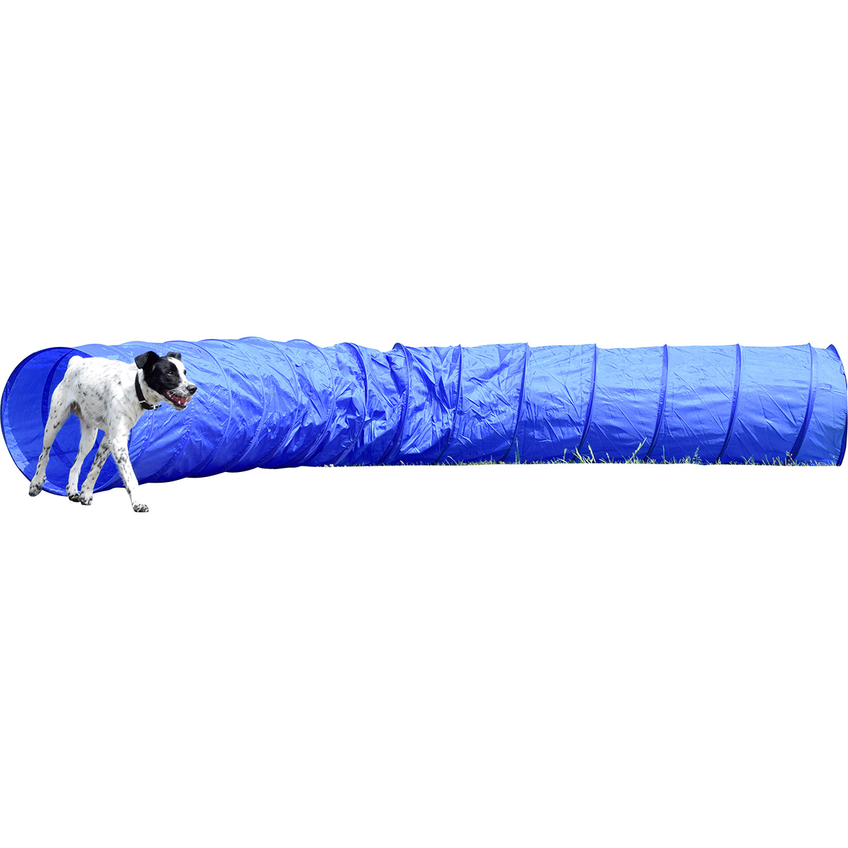 dobar Agility Tunnel 500 cm lang, Ø 60 cm dobar Agility Tunnel 500 cm lang, Ø 60 cm von dobar petlife