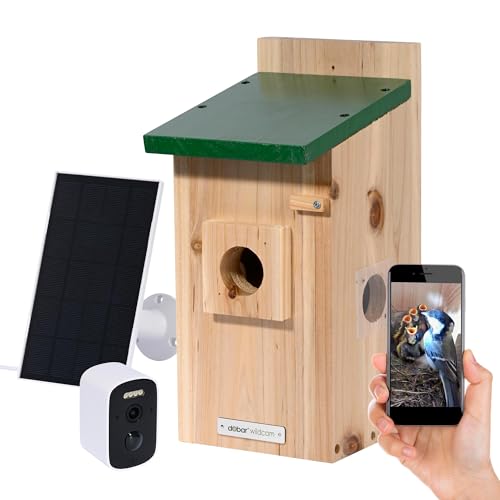 Luxus-VOGELHAUS Nistkasten Eazy mit WiFi Kamera und Solar Panel - Vogelbeobachtung mit Nisthilfe aus Holz und App - Ø 40 mm Einflugloch - Grün von dobar