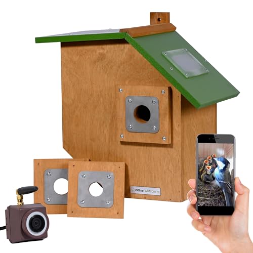 dobar® Großer Nistkasten Flachdach aus Holz inklusive HD WiFi-Kamera und App mit austauschbaren Einfluglöchern - 35,5 x 22,5 x 38,5 cm - Grün-Braun von dobar