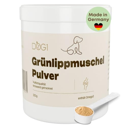DOG1 Grünlippmuschel Hund | 250g natürliches Grünlippmuschelpulver für Hunde | Unterstützung der Gelenkfunktion | Grünlippmuschel für Hunde mit hoher Akzeptanz | Grünlippmuschelpulver Hund DOG1 Grünlippmuschel Hund | 250g natürliches Grünlippmuschelpulver für Hunde | Unterstützung der Gelenkfunktion | Grünlippmuschel für Hunde mit hoher Akzeptanz | Grünlippmuschelpulver Hund von dog1