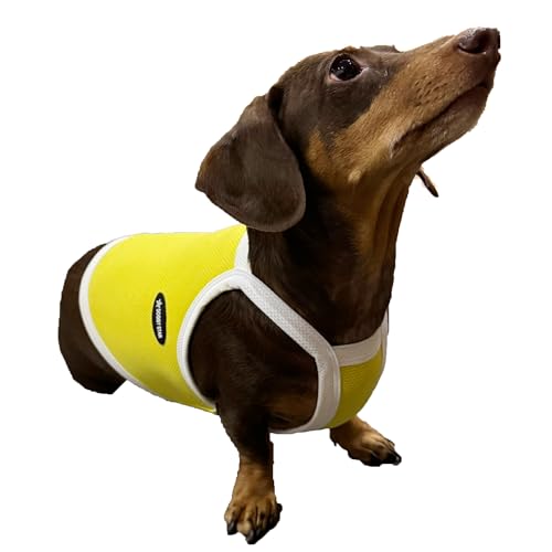 D Doggy Star Dackel Kleidung Frühling Sommer kühlendes String T-Shirt für Hunde (Größe M, Camisole Gelb) von doggystar