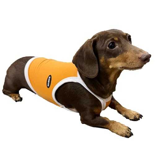 D Doggy Star Dackel Kleidung Frühling Sommer kühlendes String T-Shirt für Hunde (Größe M, Camisole Orange) von doggystar