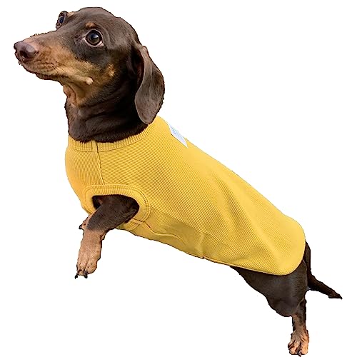 D Doggy Star Dackel Kleidung für Hunde, Mini und Erwachsene, T-Shirt (Größe L, Senfbraun) von doggystar